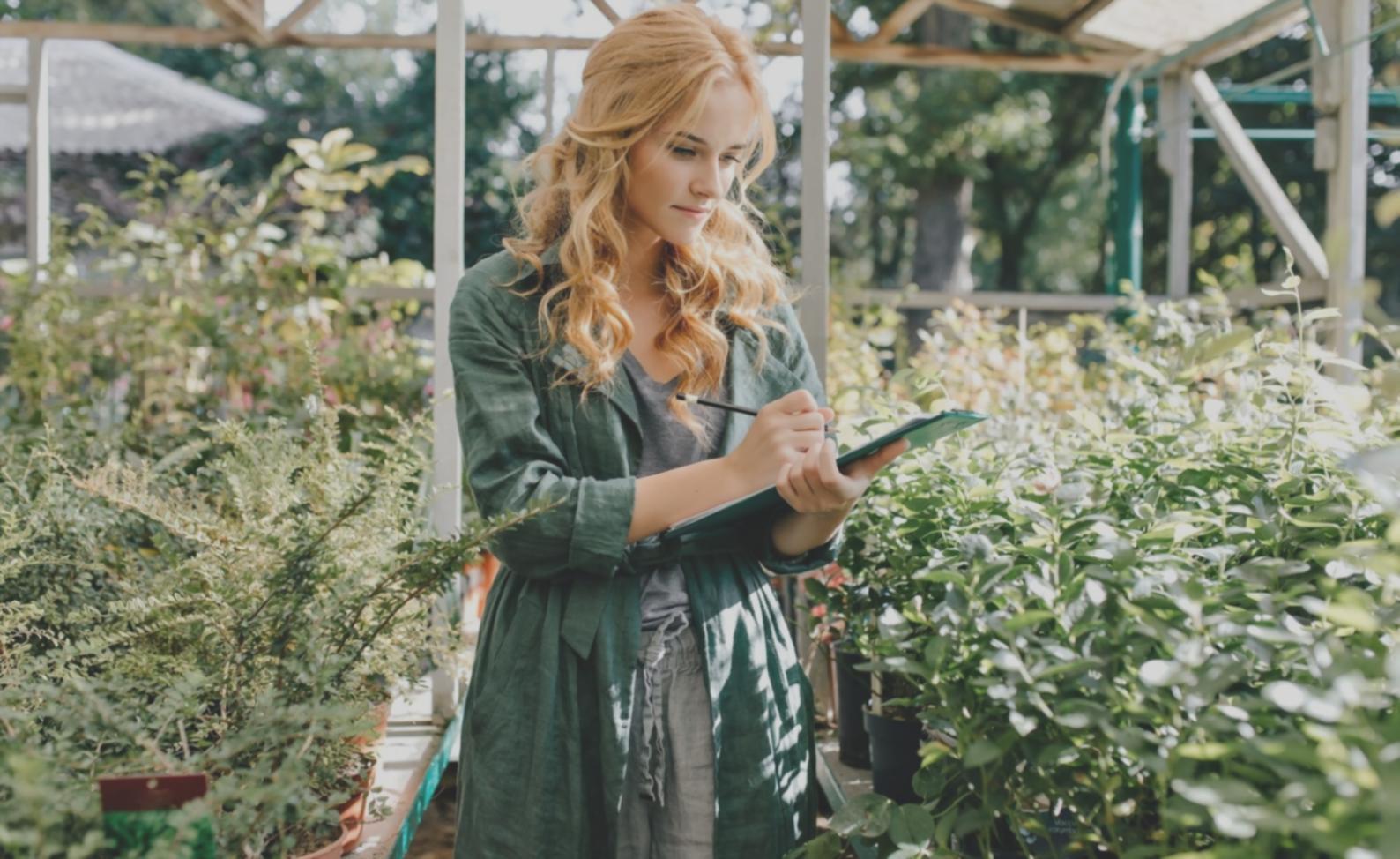 Floristische Werkstatt – Detailaufnahme